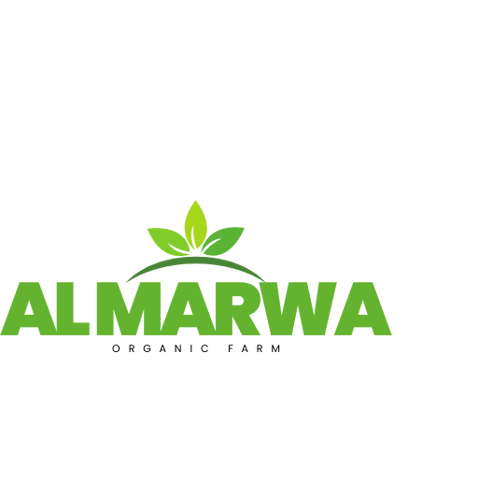 Al Marwa Export